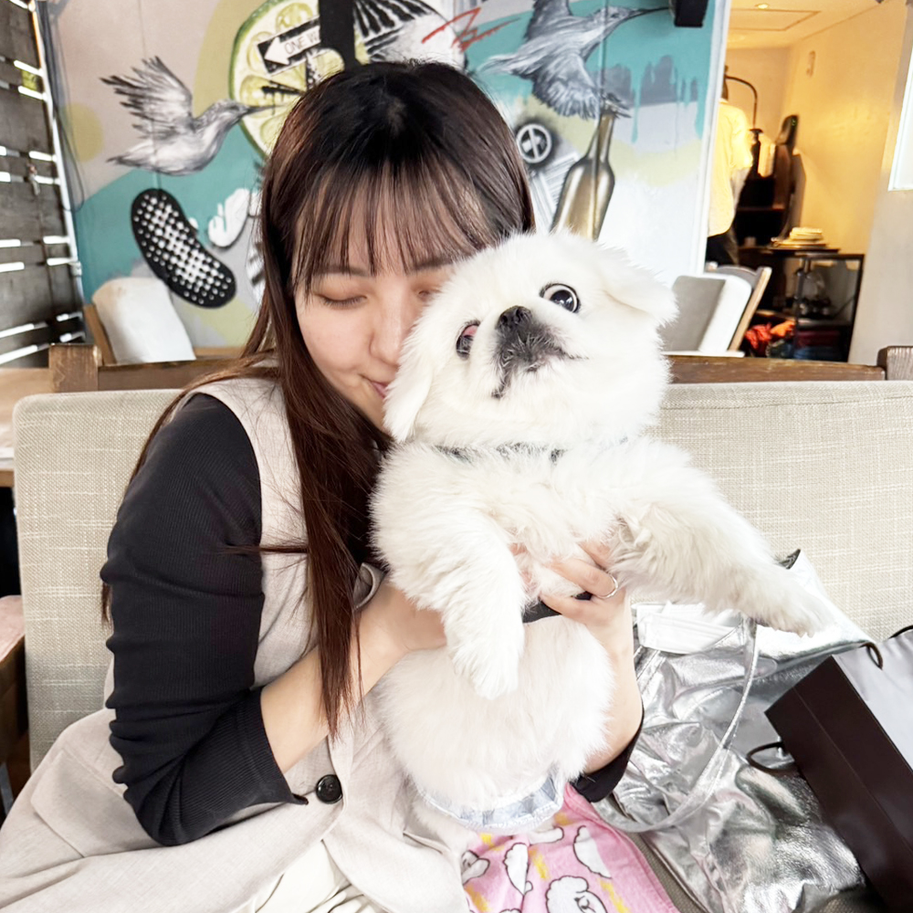 卒業犬の白玉ちゃんと大福くん♪